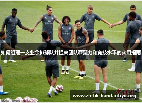 如何组建一支业余排球队并提高团队凝聚力和竞技水平的实用指南