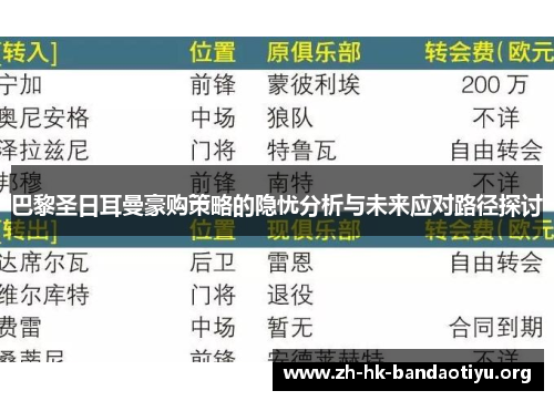 巴黎圣日耳曼豪购策略的隐忧分析与未来应对路径探讨